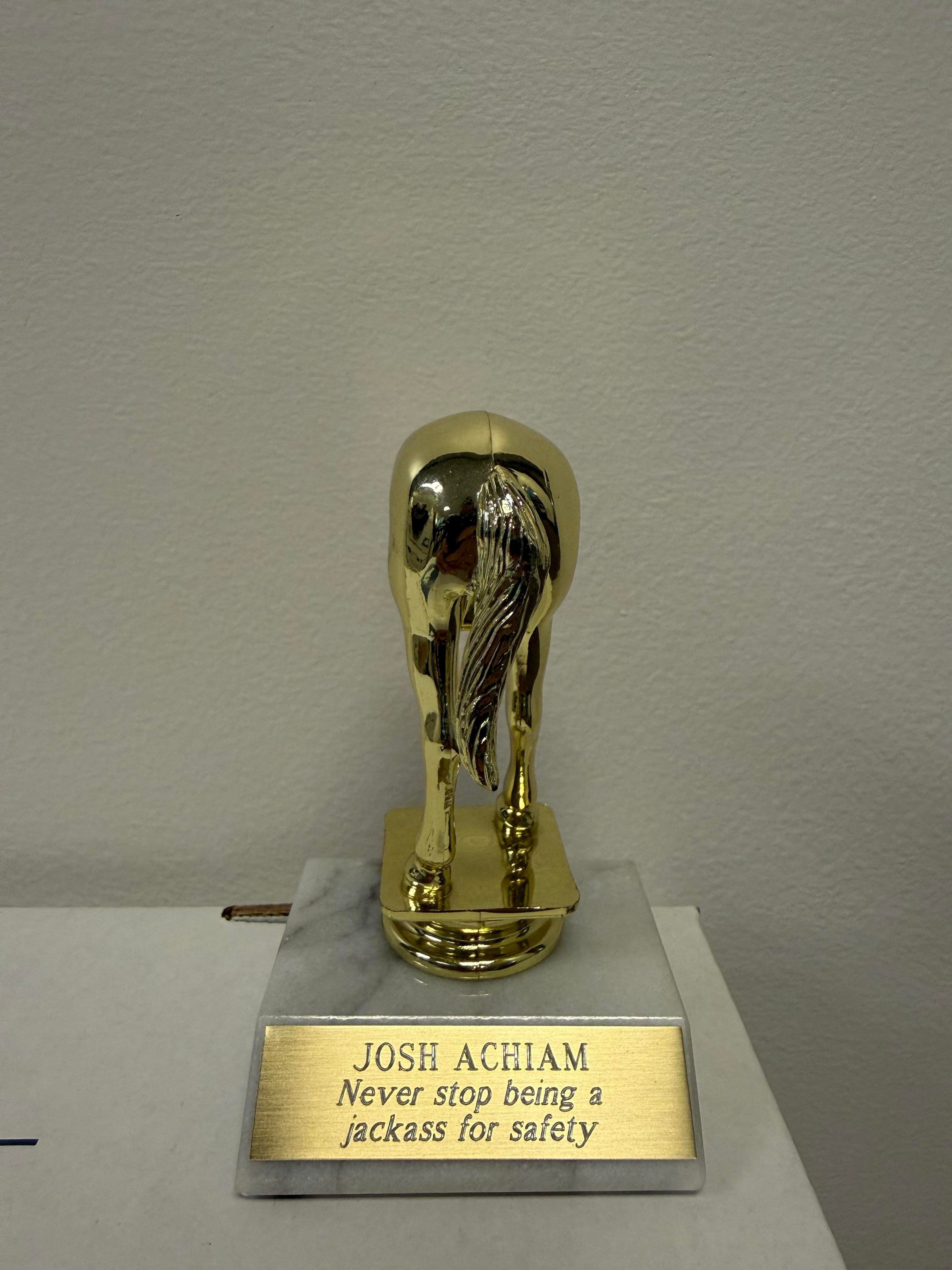 An image of what looks like a little league trophy but is in fact half a jackass (the animal) with the inscription “Never stop being a jackass for safety.”